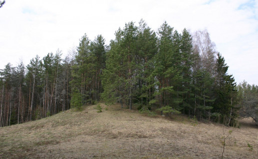 13_Vitkūnų piliakalnis iš pietryčių pusės.jpg